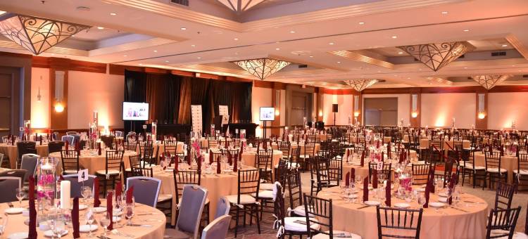 迈阿密机场铂尔曼酒店(Pullman Miami Airport)图片