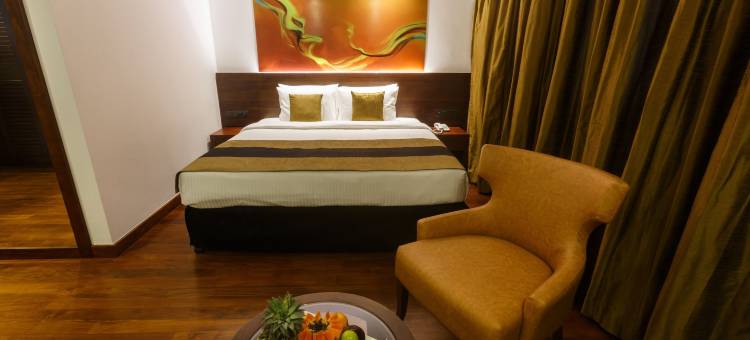 雷努卡城市酒店(Renuka City Hotel)图片