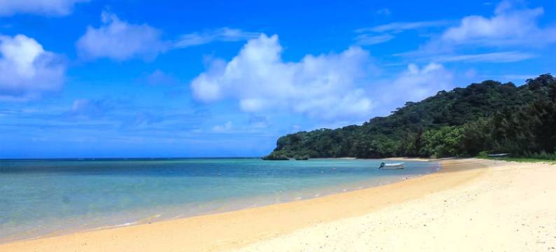 西表岛干立村小屋(Irunty Futademura)图片