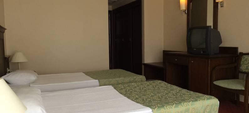 金棕榈酒店(Side Palm d'or Hotel)图片