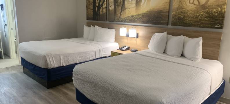 亚特兰大石山戴斯酒店(Days Inn by Wyndham Atlanta Stone Mountain)图片