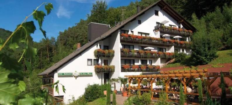 克莱内布鲁姆酒店(Hotel Die Kleine Blume)图片