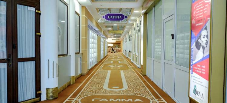 伊兹麦洛瓦伽玛酒店(Hotel Izmailovo Gamma)图片