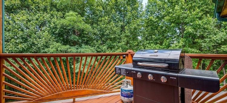 山景Holy Smoky小屋由RedAwning提供(Mountain View Holy Smoky Cabin)图片