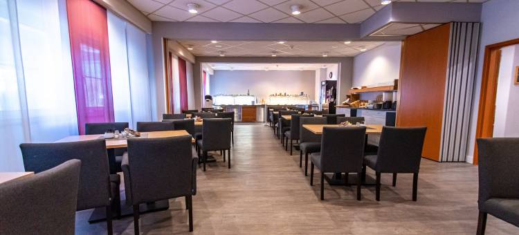 霍肯海姆品味酒店(Taste Hotel Hockenheim)图片