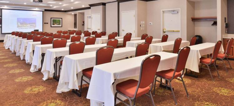 印第安纳波利斯卡梅尔希尔顿花园酒店(Hilton Garden Inn Indianapolis/Carmel)图片