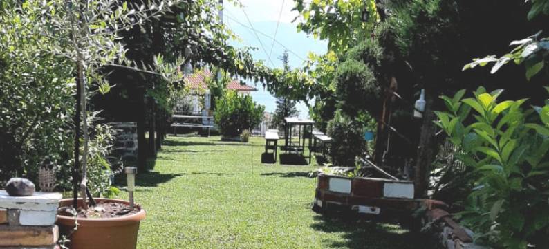 到达大厦的石头别墅(Villa Stone up to Ble Alb)图片