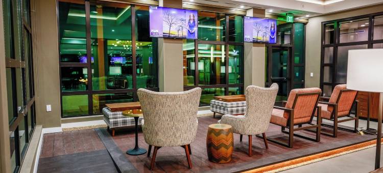 奥斯汀机场福朋喜来登酒店(Four Points by Sheraton Austin Airport)图片