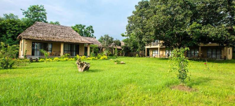 走进自然生态度假村(Into the Wild Eco Resort)图片