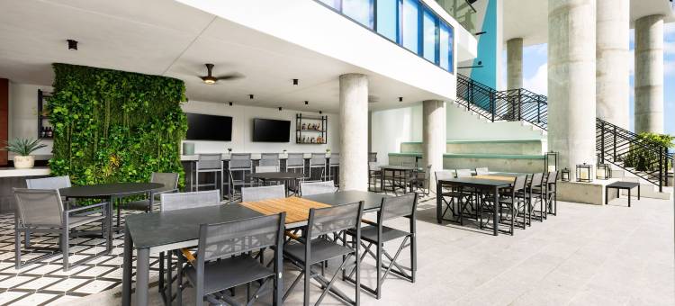 迈阿密埃尔瑟酒店-全套房酒店(The Elser Hotel Miami - An All-Suite Hotel)图片