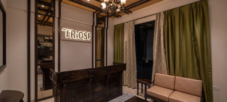 特里奥斯精品酒店罗纳瓦拉(Triose Boutique Hotel)图片