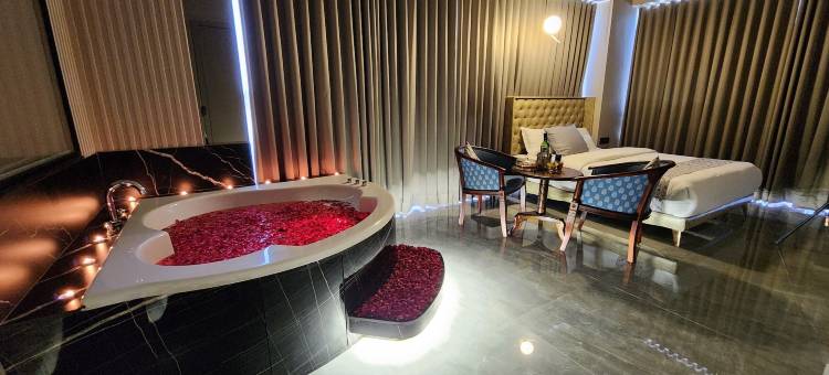 莫特拉杏子酒店(Apricot Motera)图片