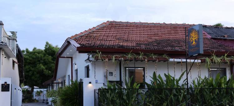 印楝树之家(Neem Tree House, Trincomalee)图片