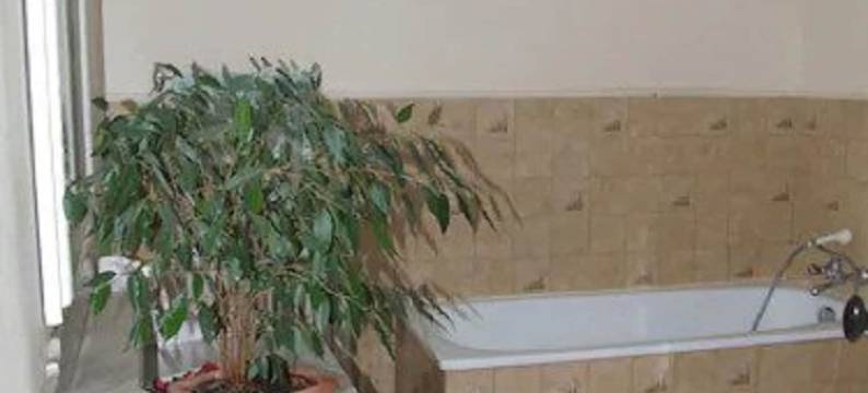 法国酒店(Grand Hôtel de France)图片