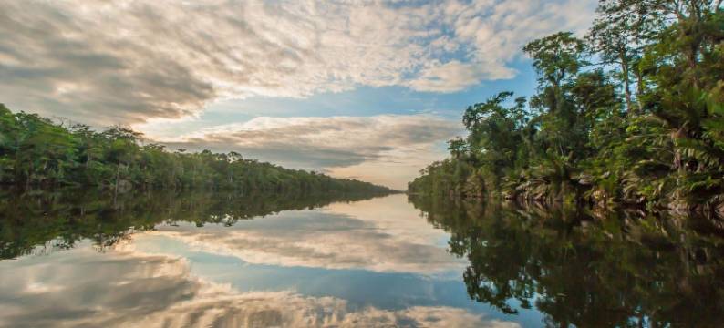 3 月阳台托尔图格罗小屋酒店(Cabinas Balcon del Mar Tortuguero)图片