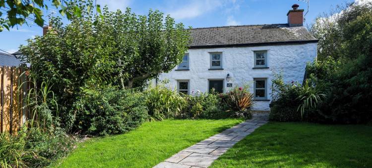 蕨类小屋酒店(Fern Cottage)图片