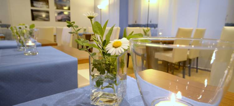 加尼贝尔维迪尔酒店、BIO 酒店及埃德斯套房酒店(Hotel Garni Belvedere, Das Bio Hotel & SuiteHotel am Ederse)图片