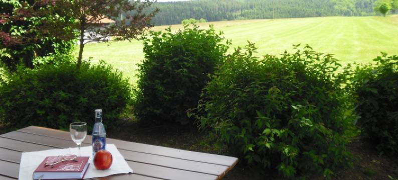 克拉斯旅馆酒店(Gasthof-Pension-Kraus)图片