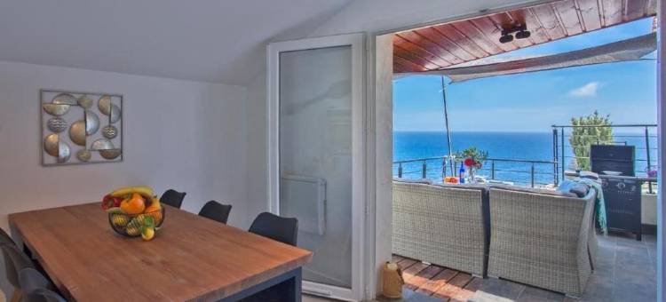 维塔诺瓦(Vita Nova)图片