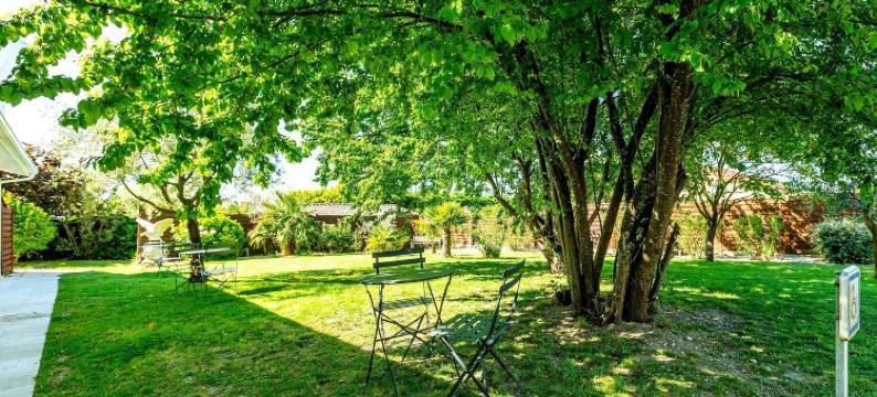 罗吉斯奥利弗雷酒店(Logis Hôtel l'Oliveraie)图片