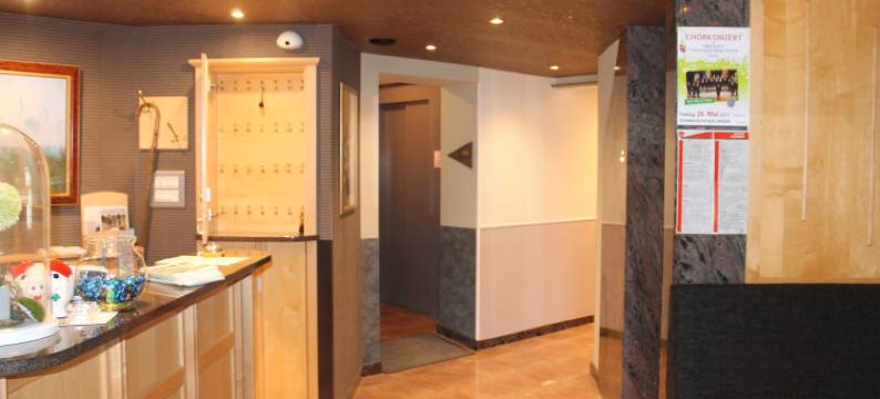 拉克酒店(Hôtel du Lac)图片