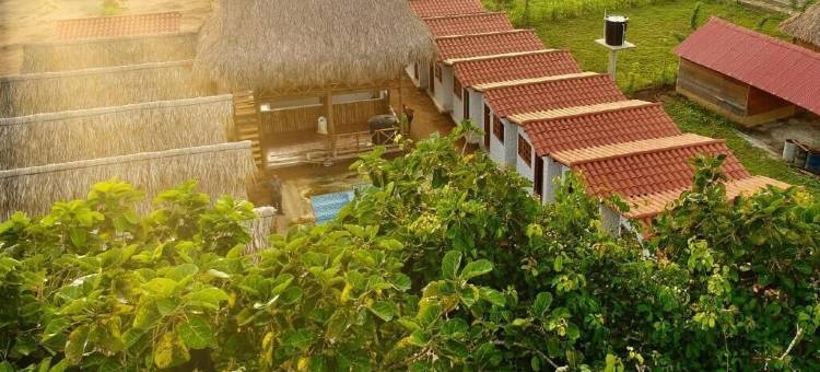 帕洛米诺日出(Palomino Sunrise)图片