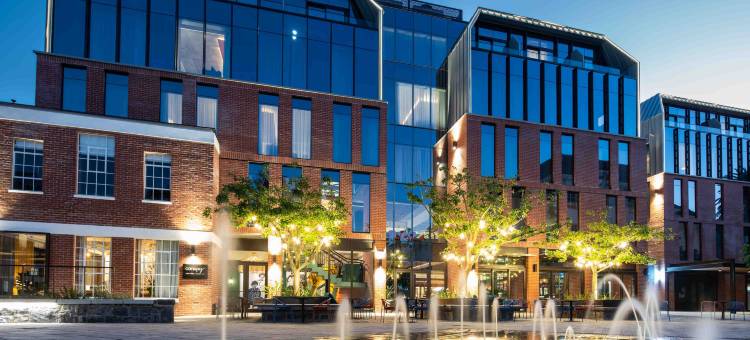 希尔顿 Canopy 开普敦 Longkloof(Canopy by Hilton Cape Town Longkloof)图片