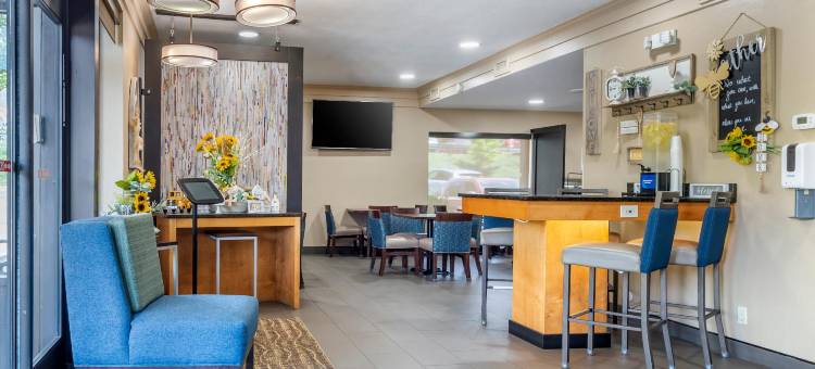 阿什维尔东-蓝岭山行车通道舒适酒店(Comfort Inn Asheville East-Blue Ridge Pkwy Access)图片