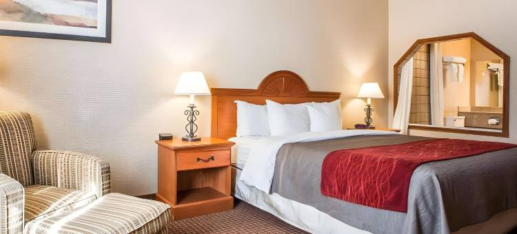 凯艺酒店(Quality Inn)图片