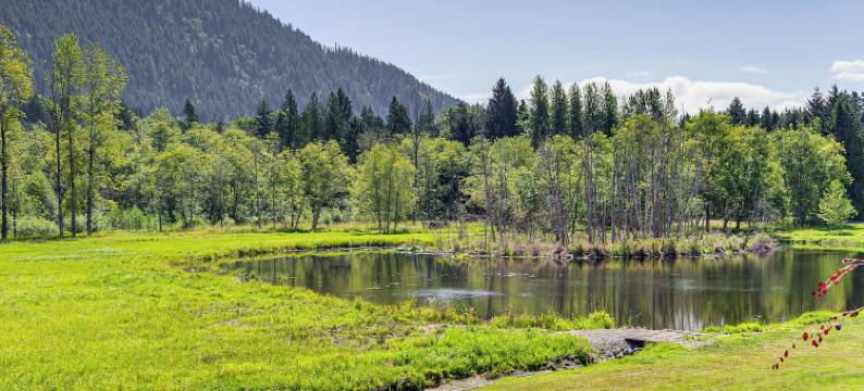私人池塘和室内泳池：大阿灵顿别墅！(Private Pond & Indoor Pool: Grand Arlington Villa!)图片