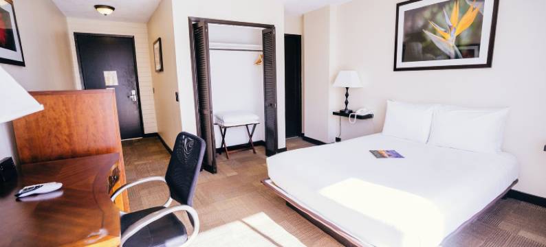 怀基基居住旅馆(Stay Hotel Waikiki)图片