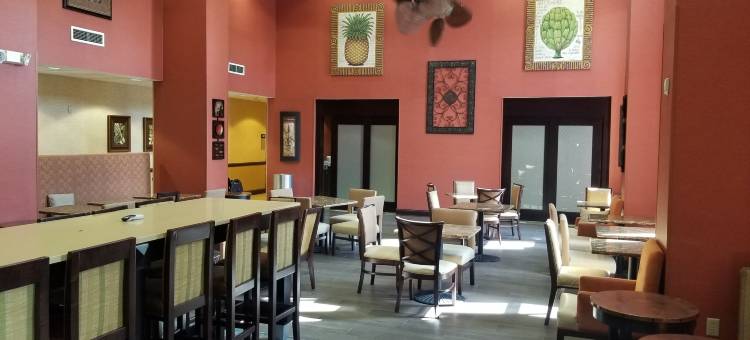 坦帕韦斯利查普尔欢朋套房酒店(Hampton Inn & Suites Tampa-Wesley Chapel)图片