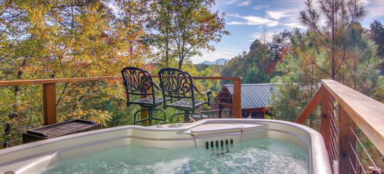 距离露尔湖7英里：米尔斯普林小屋带热水浴缸(7 Mi to Lake Lure Mill Spring Cabin with Hot Tub)图片