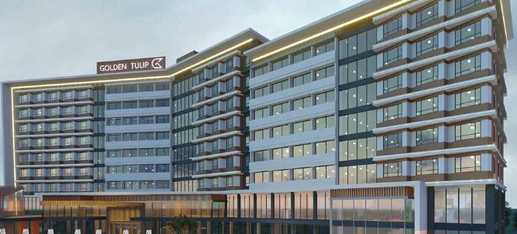 金沙萨金城绿洲金郁金香酒店(Golden Tulip Kin-Oasis Kinshasa)图片