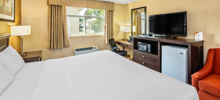 伊康旅馆(Econo Lodge)图片