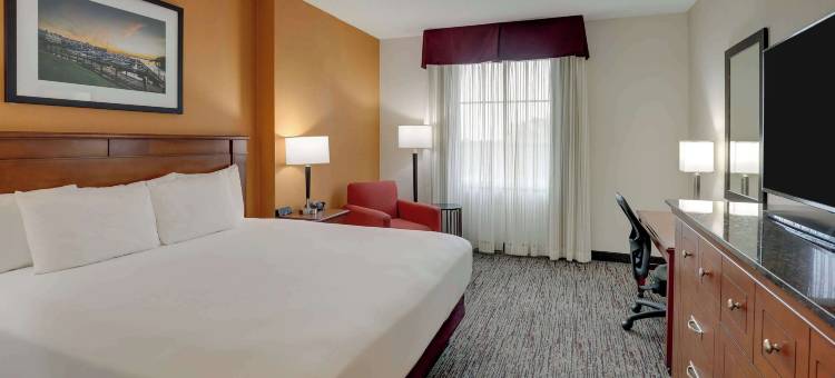 夏洛特-诺斯莱克德鲁里套房酒店(Drury Inn & Suites Charlotte Northlake)图片