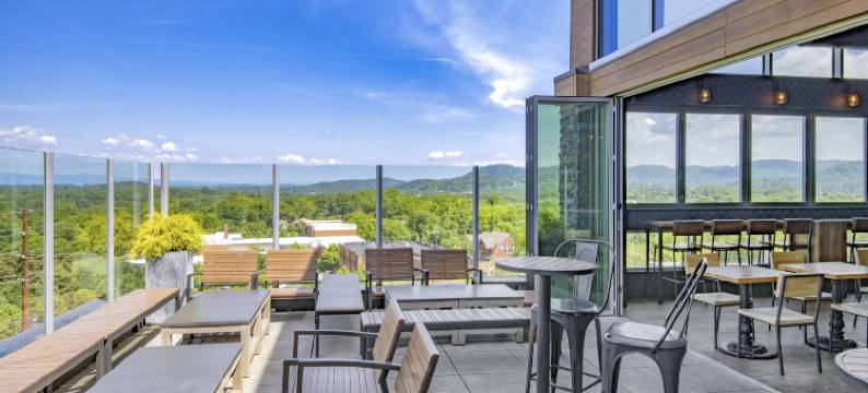 阿什维尔市中心希尔顿逸林酒店(DoubleTree by Hilton Asheville Downtown)图片