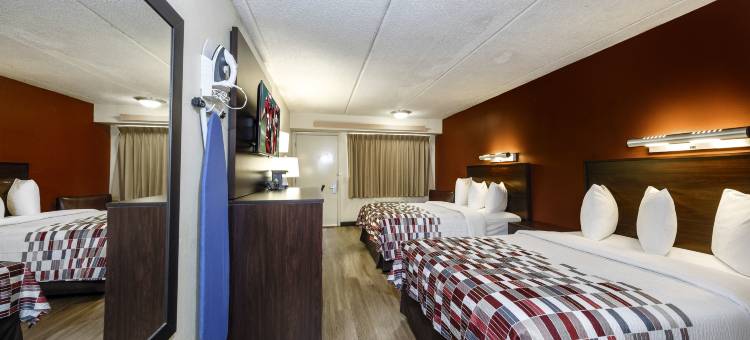 坦帕-布兰登红顶酒店(Red Roof Inn Tampa - Brandon)图片