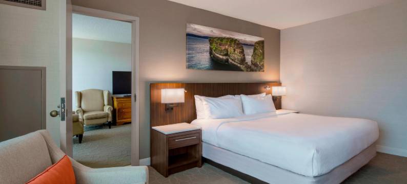 圣约翰德尔塔酒店及会议中心(Delta Hotels St. John's Conference Centre)图片