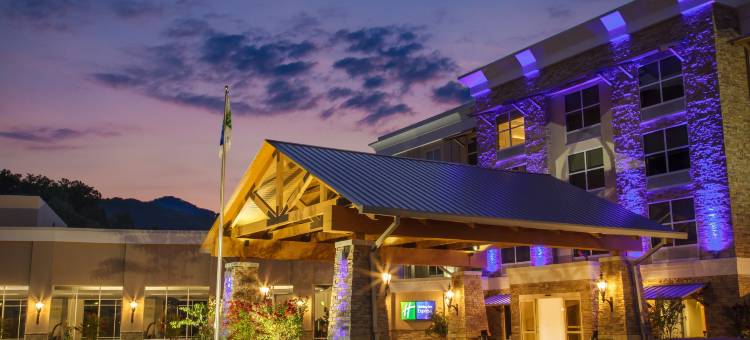 Holiday Inn Express 加特林堡(Holiday Inn Express Gatlinburg Downtown)图片