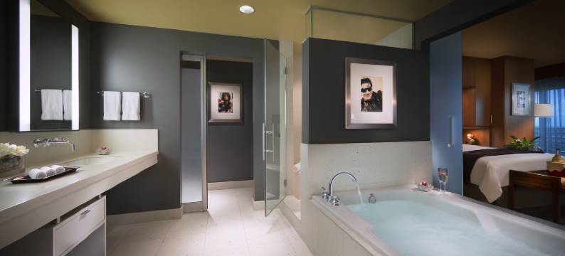 塞米诺尔硬石酒店及坦帕(Seminole Hard Rock Hotel and Casino Tampa)图片