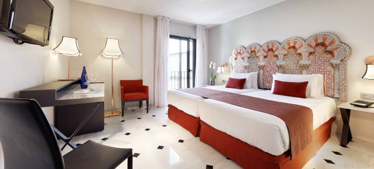 欧洲之星征服者酒店(Eurostars Conquistador)图片