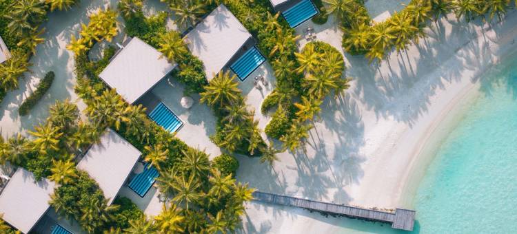 马尔代夫 SO/ 酒店(SO/ Maldives)图片