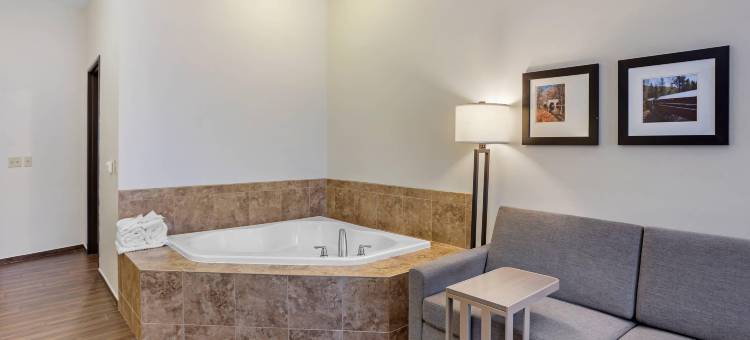 塞尔舒适套房酒店(Comfort Inn & Suites Sayre)图片