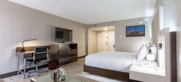 达拉斯理查森希尔顿逸林酒店(DoubleTree by Hilton Hotel Dallas - Richardson)图片