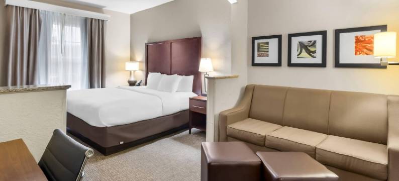 舒适套房酒店(Comfort Suites)图片