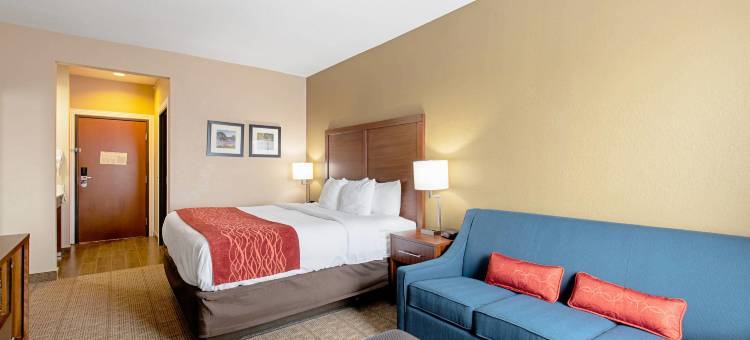 弗雷德里克斯堡舒适套房酒店(Comfort Inn and Suites Fredericksburg)图片