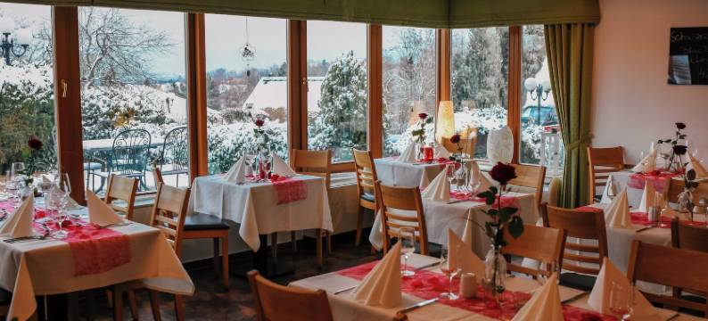 德雷斯顿兰德豪斯酒店(Landhotel Dresden)图片