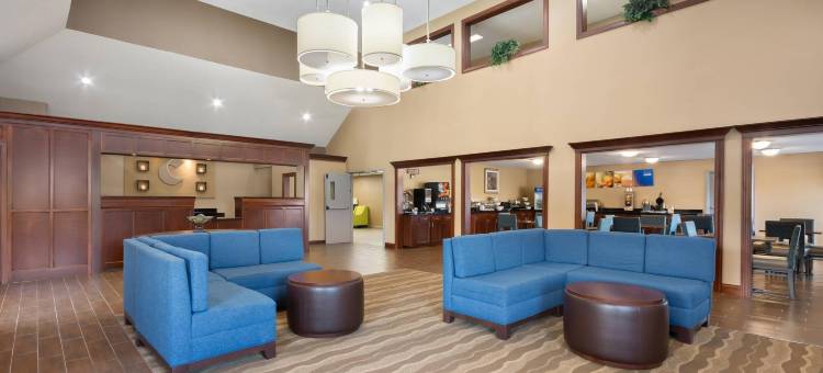 辛辛那提东门舒适套房酒店(Comfort Inn & Suites Cincinnati Eastgate)图片