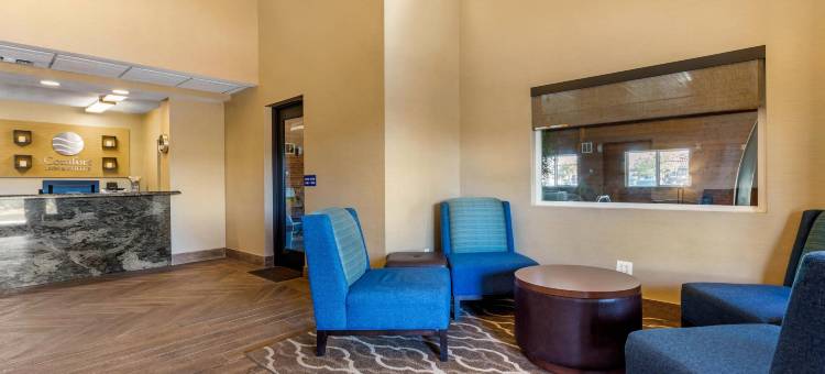 穆列塔-特曼库拉-葡萄酒之乡舒适酒店(Comfort Inn & Suites Murrieta Temecula Wine Country)图片